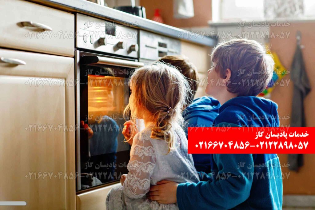 خدمات پس از فروش پادیسان